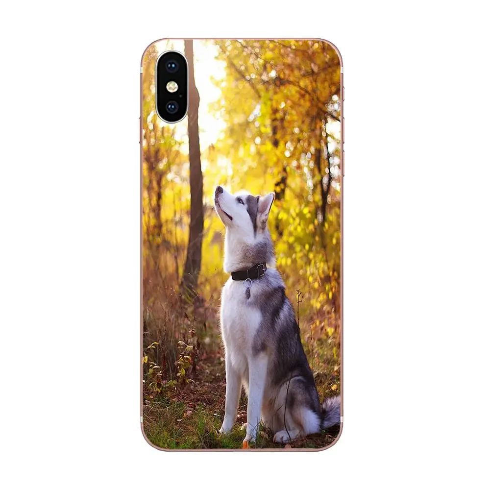 TPU сотовый телефон для samsung Galaxy Note 5 8 9 S3 S4 S5 S6 S7 S8 S9 S10 5G mini Edge Plus Lite Siberian Husky милые