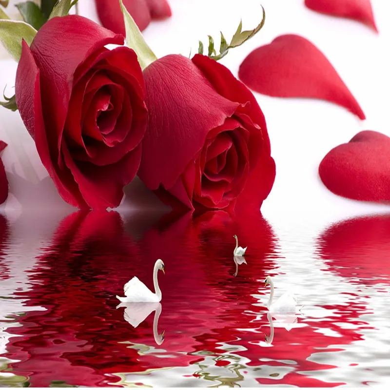 Прямая поставка фото обои красивая Роза Лебедь вода отражение росписи ТВ диван