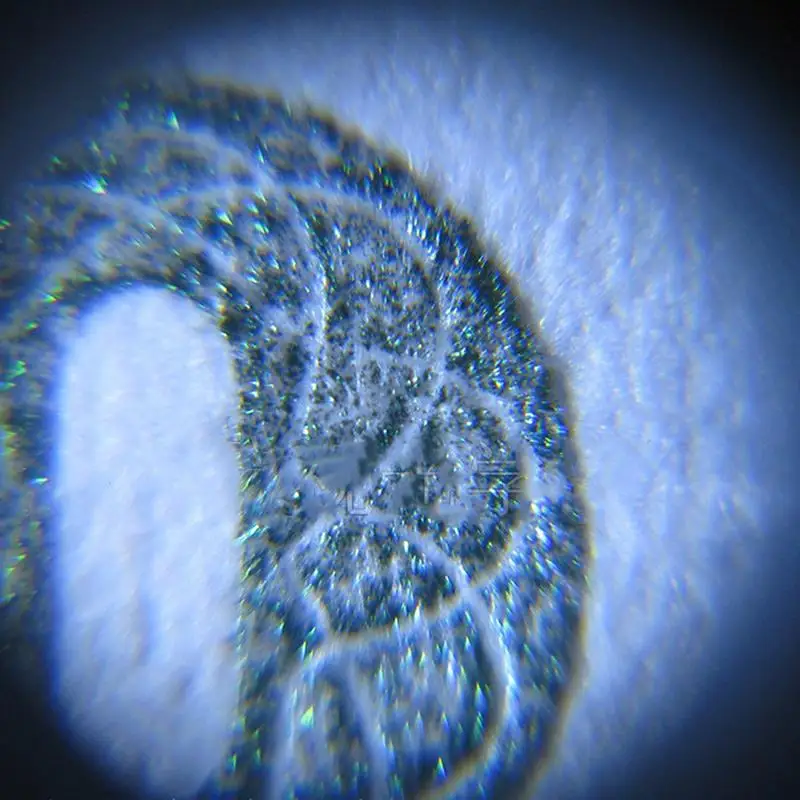 Ультрафиолетовая лампа увеличительное стекло микроскоп 60X портативный