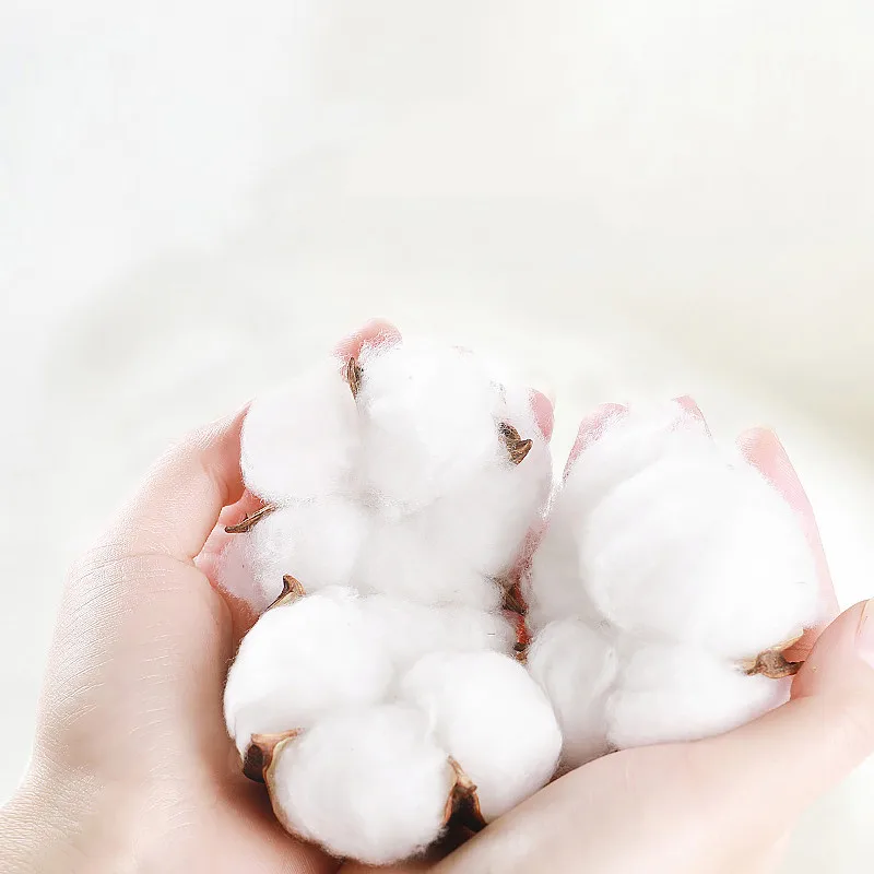 Paul товары для рукоделия Акварельная книга 100% хлопковые Пресс пряностей журнал 20