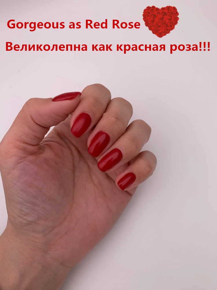 Портативная палатка sanoto для фотосъемки, небольшой складной светильник, софтбокс 50 см, светильник K50 CD50 T03P