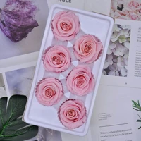 6pcs preserved flowers rose immortal rose mothers day diy wedding eternal life flower material gift wholesale dried flowerbox