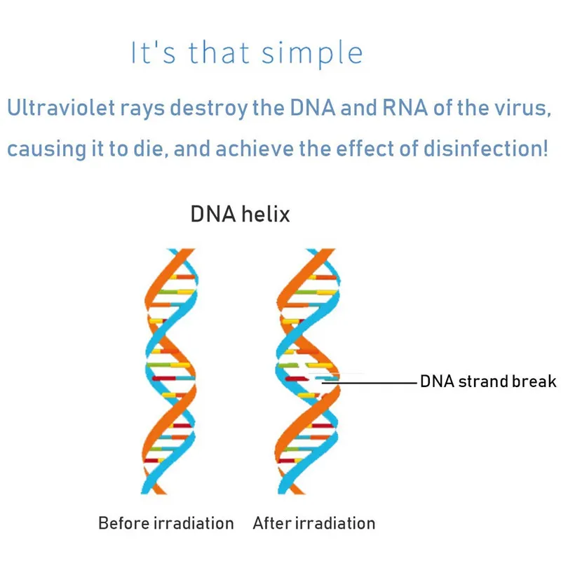 УФ стерилизатор для зубных щеток 8 Вт с бактерицидной лампой|Стерилизатор щеток| |