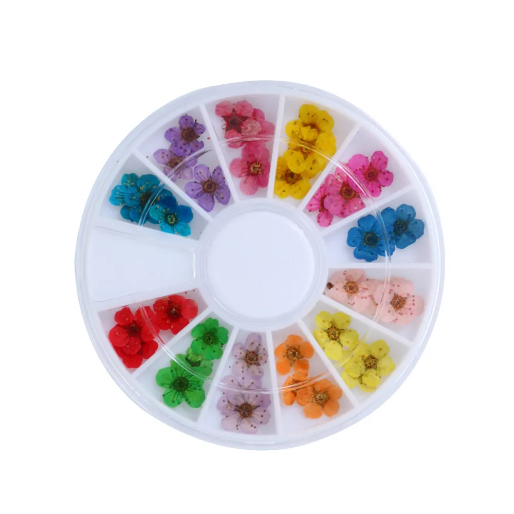 Натуральные сухие цветы набор наклейки для дизайна ногтей 3D многоцветные