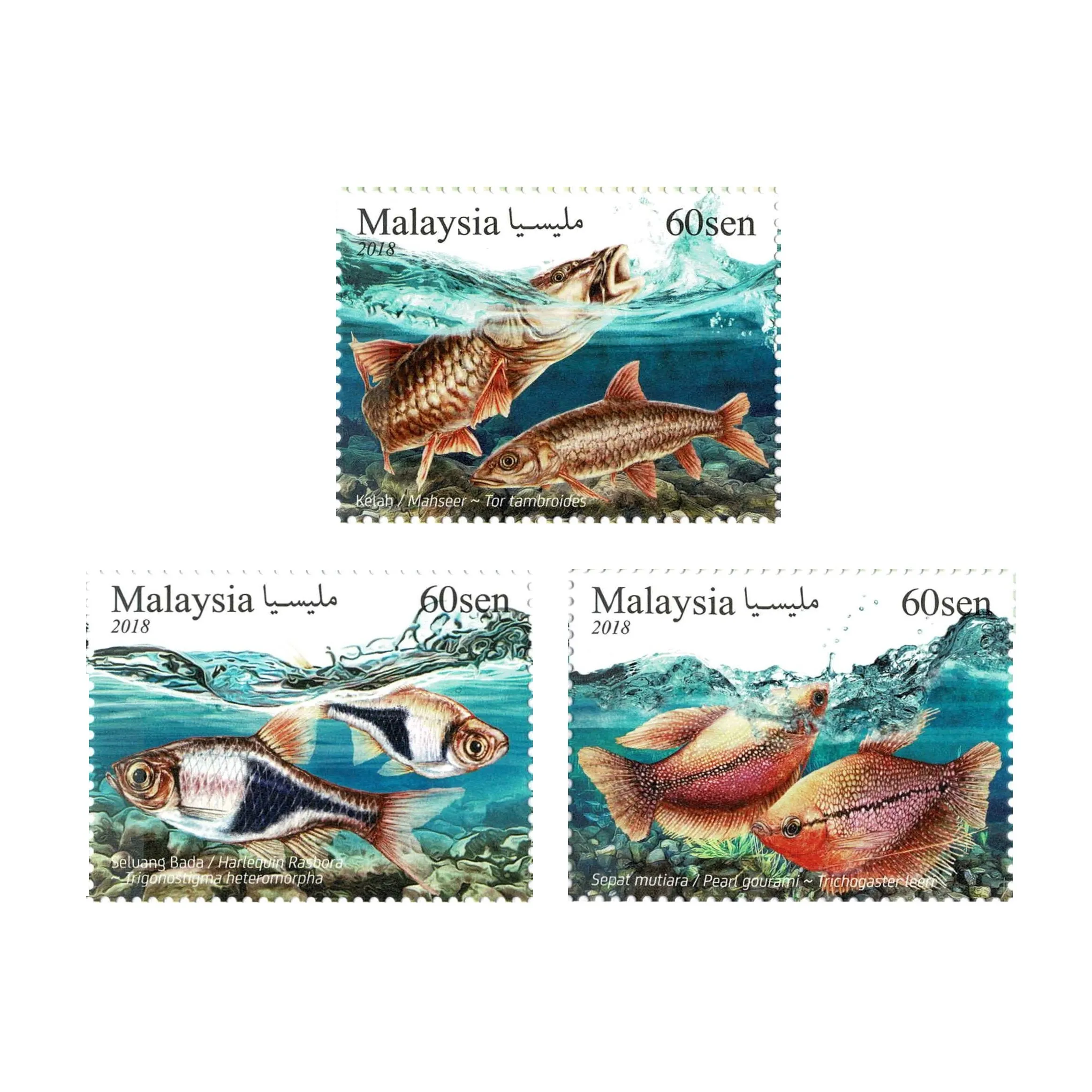 

3 PCS/Set,2018,Malaysia,Fish Stamp,Ornamental fish,Animal Stamp,Stamp Collection,New Stamp,High Quaility,MNH