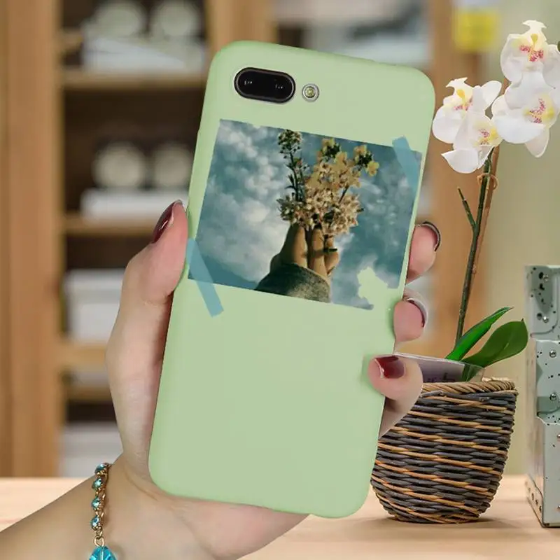 

Great Art Prints Flower Phone Cases For Iphone 6 6s 7 8 Plus XR X XS XSmax 11 12 Pro Mini Max Candy Green Silicone Cover