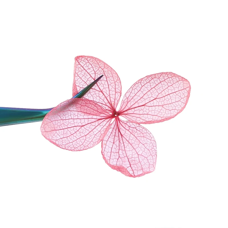 Смешанные сушеные цветы украшения для ногтей натуральные Цветочные наклейки в