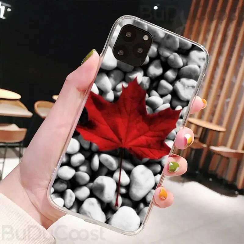 fall maple leaves soft phone case capa for iphone 11 pro 11 pro max x xr xs max 7 8 6 6s plus 5 5s se 2020 case free global shipping