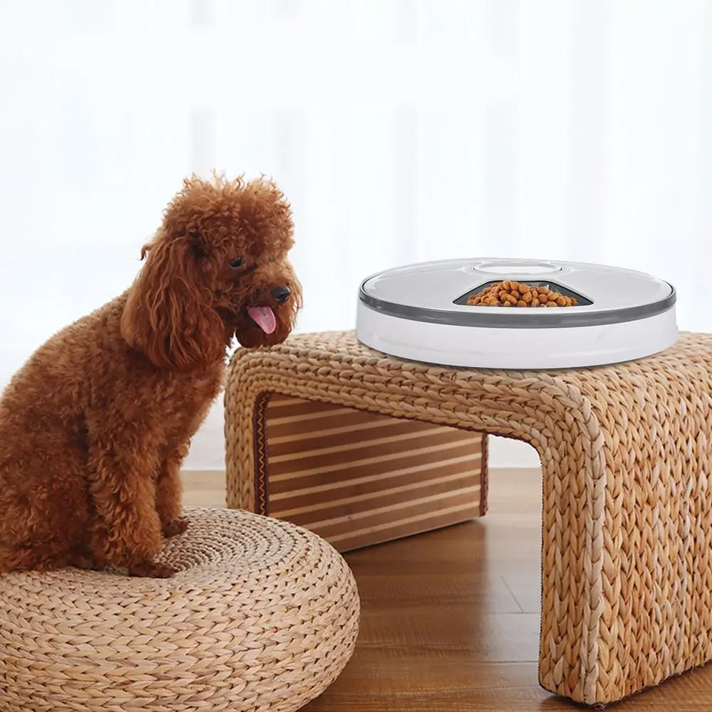 Новая автоматическая кормушка для домашних животных сроки 6 еды распределения