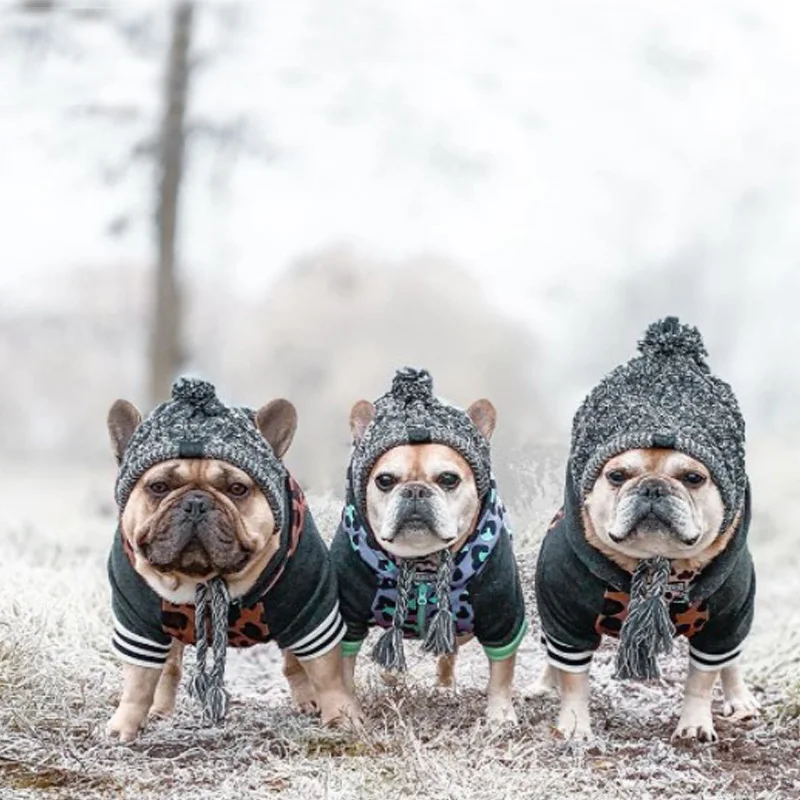 

Шапка для французских файтингов зимняя теплая ветрозащитная трикотажная шапка для собак с помпоном удобная мягкая детская собака