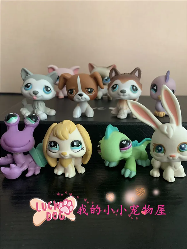 

Hasbro Action Figure Genuine To Q LPS Pet House Mini Ornament Toy Old Cute Cartoon Doll