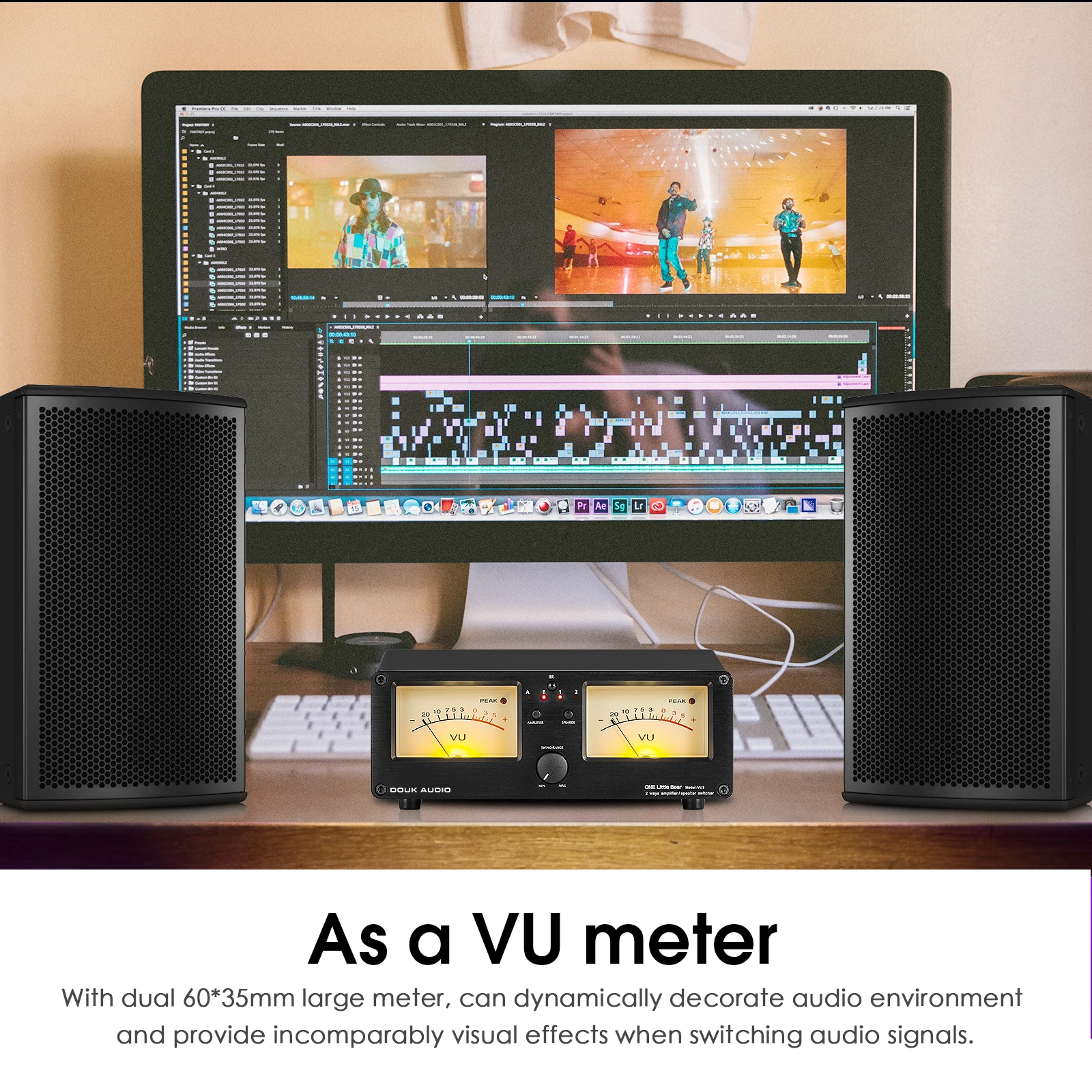 Douk Audio Dual Analog VU Meter Sound Level DB Panel Display 2-way Amplifier / Speaker Switcher Box Selector W/ Remote Control |