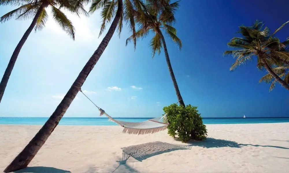 Мальдивы тропический рай пляжная сцена гигантская Художественная печать