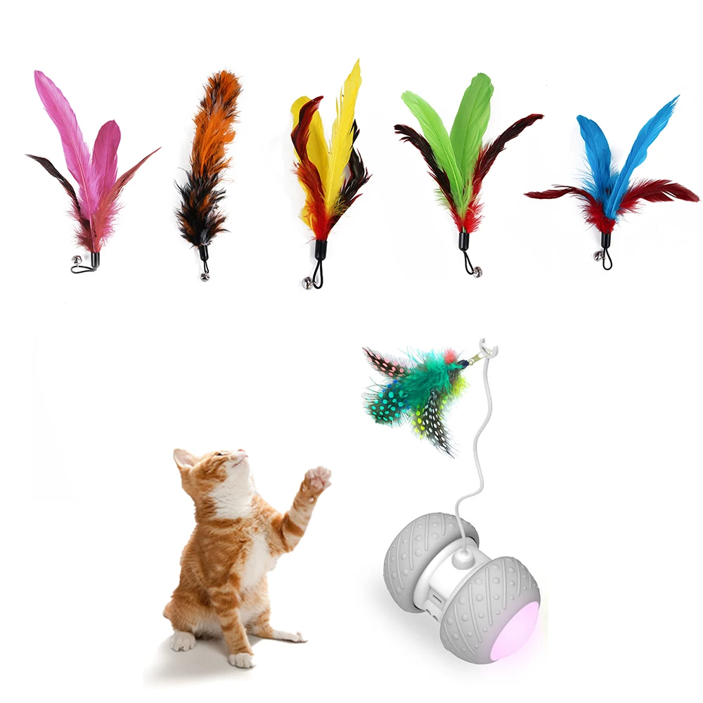 Сменные цветные палочки для питомцев 5 шт. автоматическое распознавание