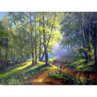 Алмазная вышивка Yujohom 5D 