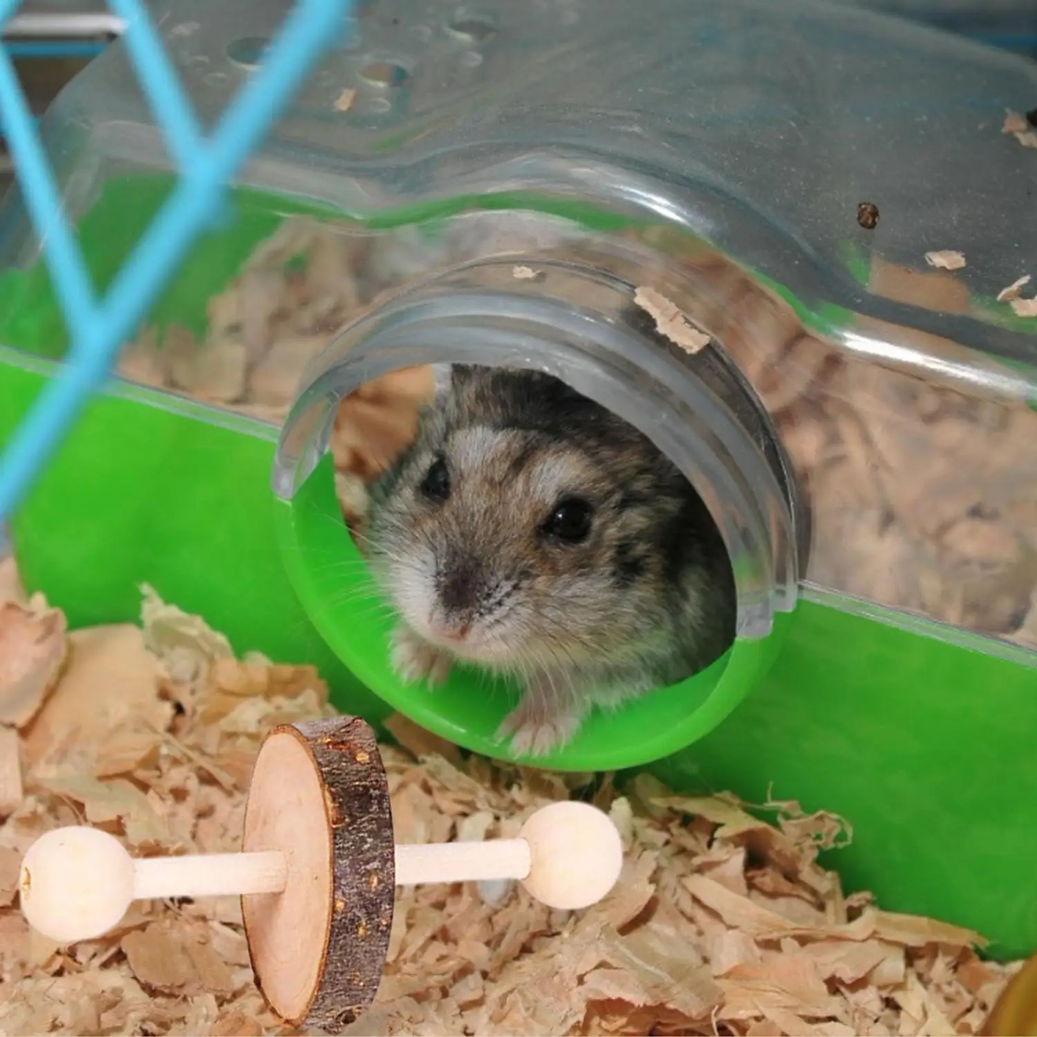 12 шт./упак. деревянные хомяк стоматологической помощи жевательные игрушки набор