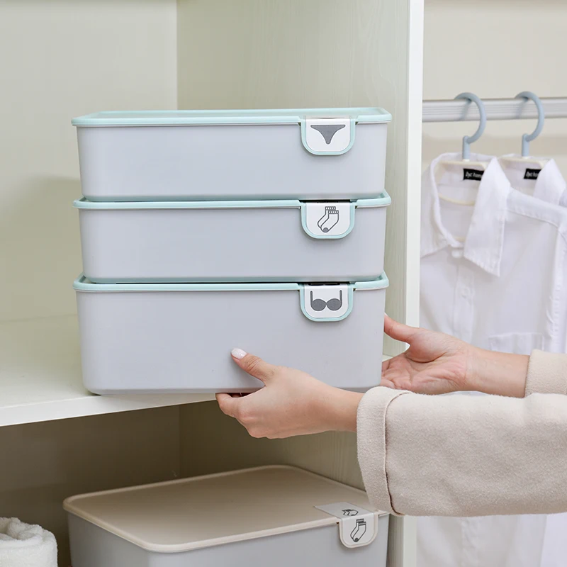 

Plastic Underwear Storage Box With Lid Dust-proof Multiple Grids Partition Box Socks Panties Bra Home S6S11L98