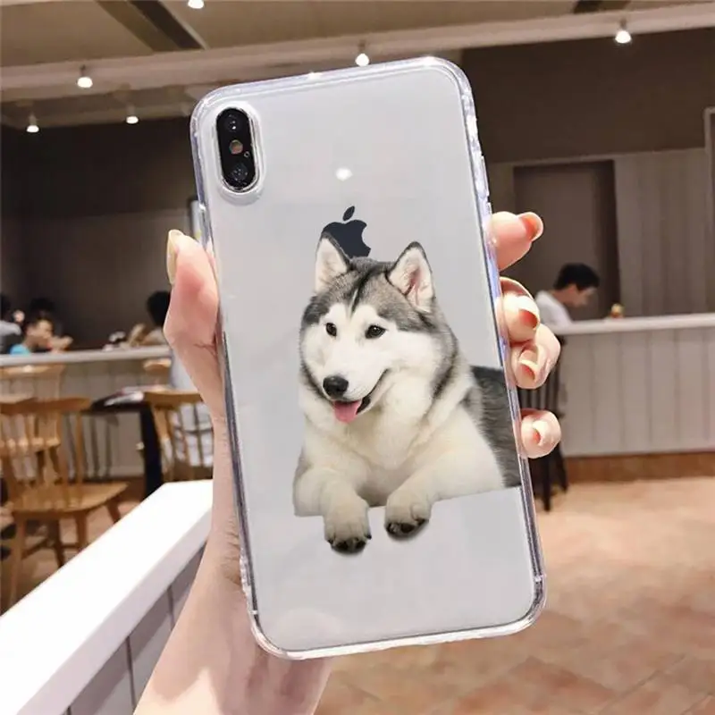 

Husky Kawaii Wolf cute Phone Cases Transparent soft For iphone 5 5s 5c se 6 6s 7 8 11 12 plus mini x xs xr pro max
