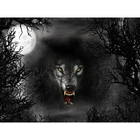 Полный 5D Diy Daimond картина 