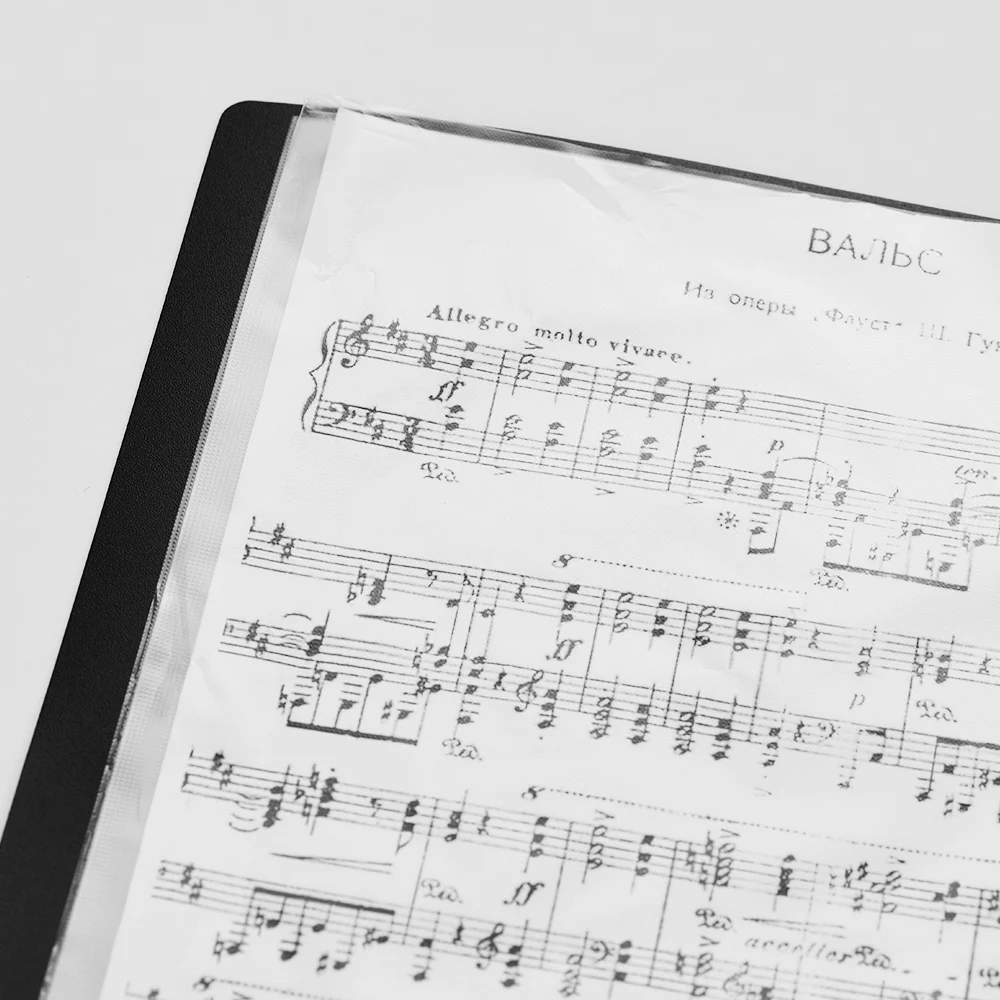 Папка-держатель для файлов А4 прозрачная 10 карманов | Канцтовары офиса и дома