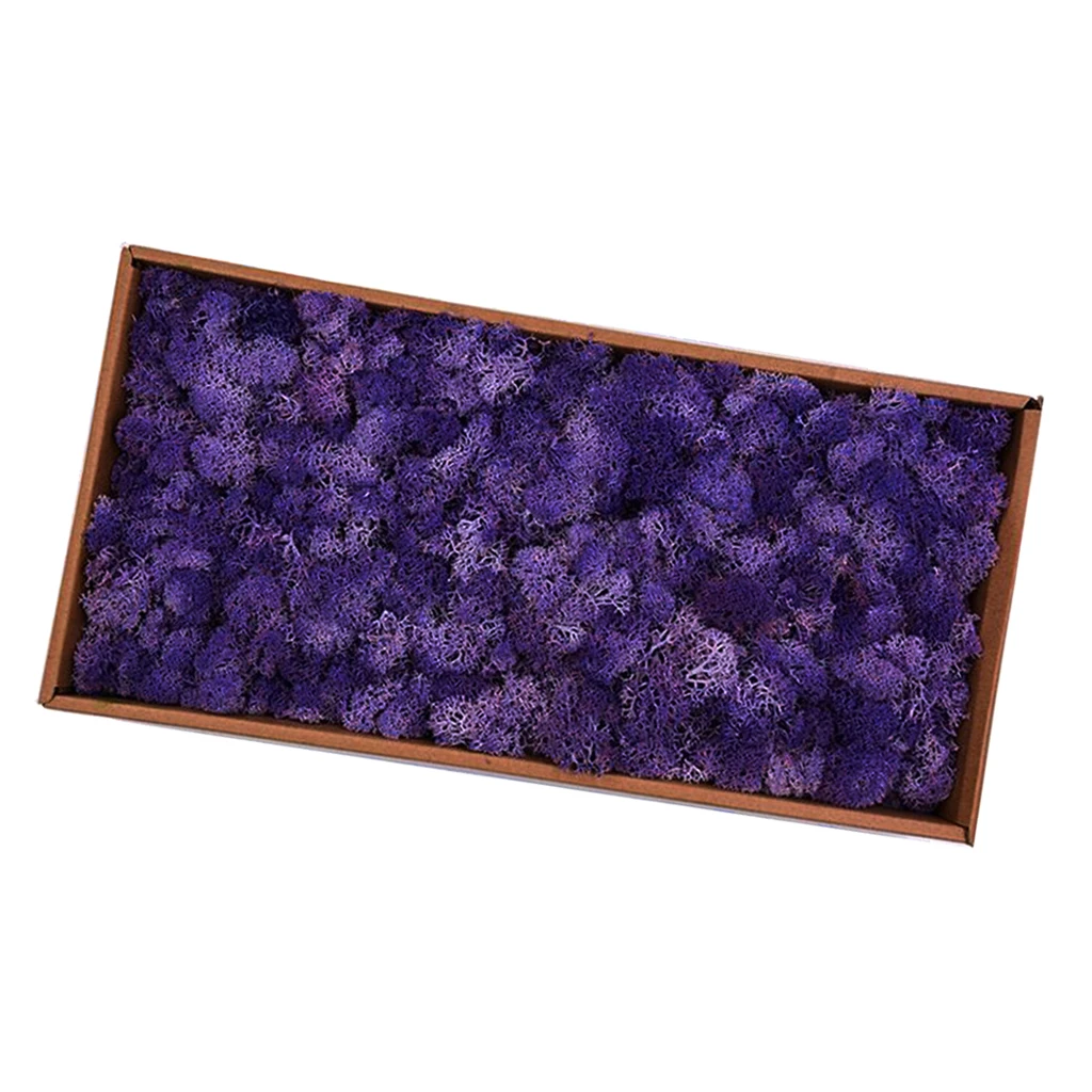 Dark Purple 38x19x1 Натуральный норвежский олень мох консервированный сушеные ремесла цветок для цветов Трава растения для дома и сада Гирлянда Свадебная вечеринка - Цвет: Dark Purple 38x19x1