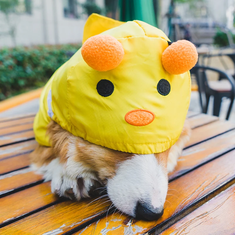 Водонепроницаемый костюм медвежонка собаки пчелы милый маленький средний щенок