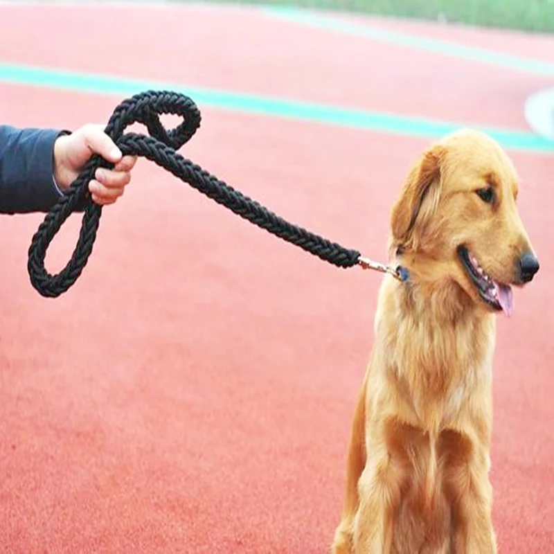 

Eight-strand Nylon Dog Harness Leash For Large Dogs Leads Pet Training Walking Safety Mountain Climb Ropes Dog Leashes Products