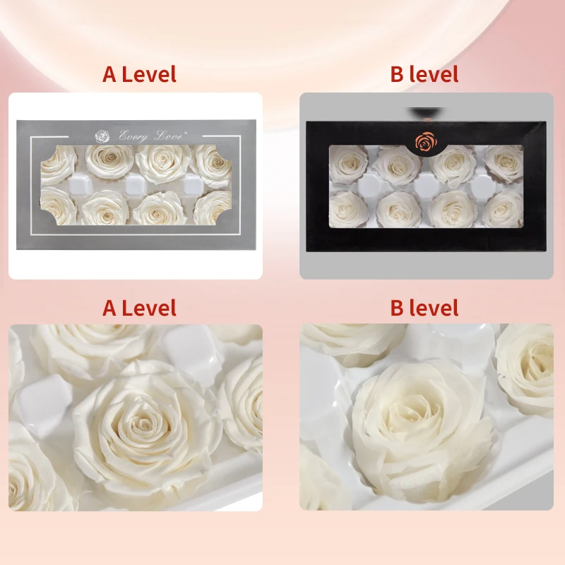

8pcs/Box Level A DIY Eternal Roses Natural Preserved Flowers Immortal Rose Mothers Day Gift Wedding Decoration Dropshipping