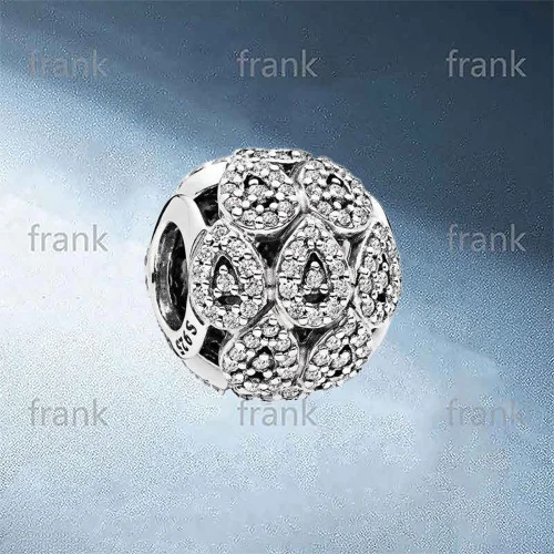 

796271CZ