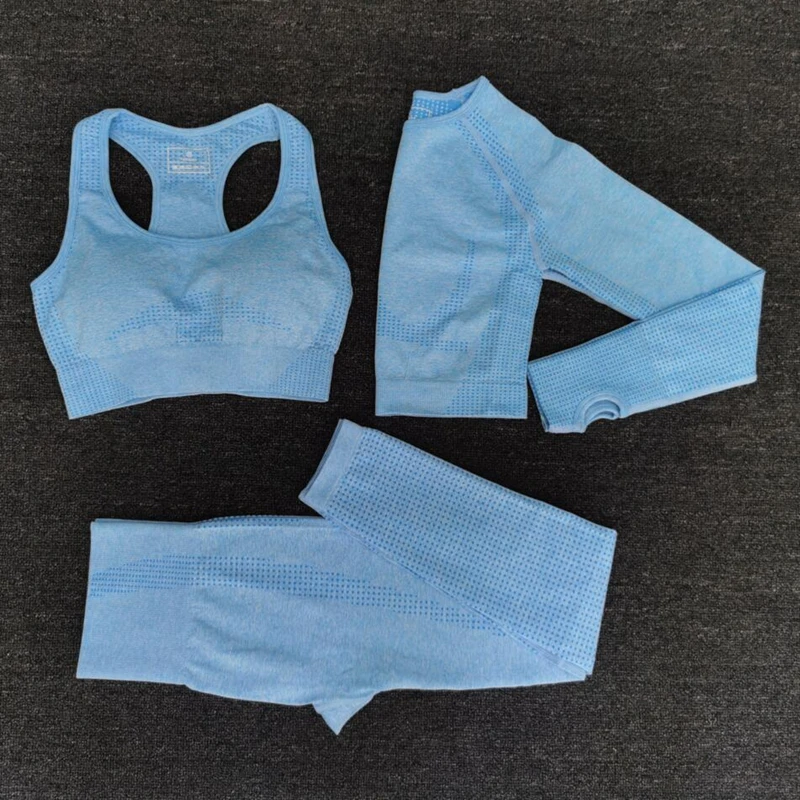 

2021 Women Seamless Yoga Set Fitness Sports Suits GYM Cloth Yoga Long Sleeve Shirts High Waist Running Leggings Workout Clothing