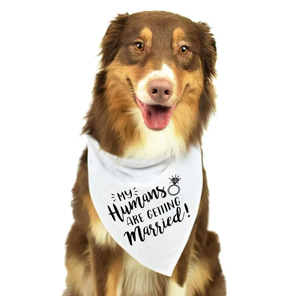 Бандана для собаки шарф питомца с буквенным принтом кошек треугольные