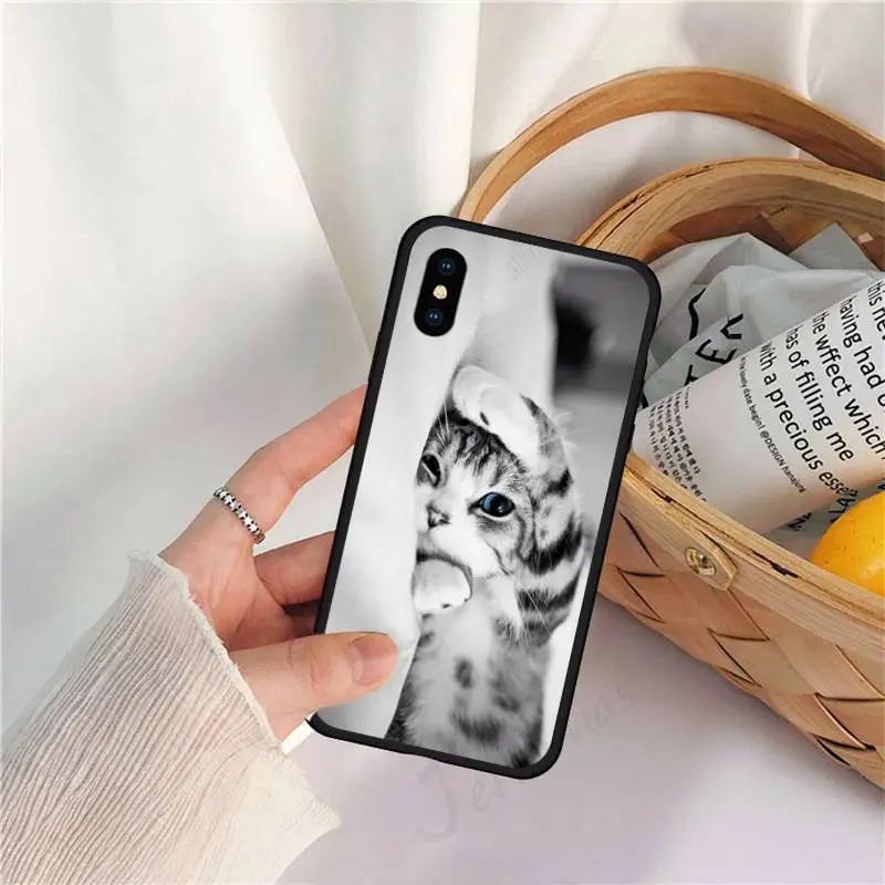 

Cute Animal Cat Animal aesthetics Phone Case for iPhone 11 12 pro XS MAX 8 7 6 6S Plus X 5S SE 2020 XR