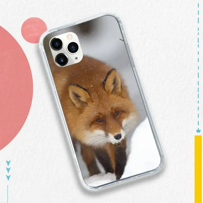 

Animal Raccoon Fox high quality Phone Case for iPhone 11 12 pro XS MAX 8 7 6 6S Plus X 5S SE 2020 XR