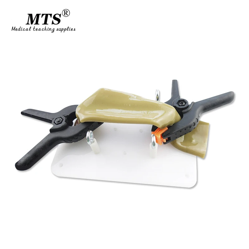 Обучающая модель для кишечных швов зажим Лапароскопическая хирургия обучение