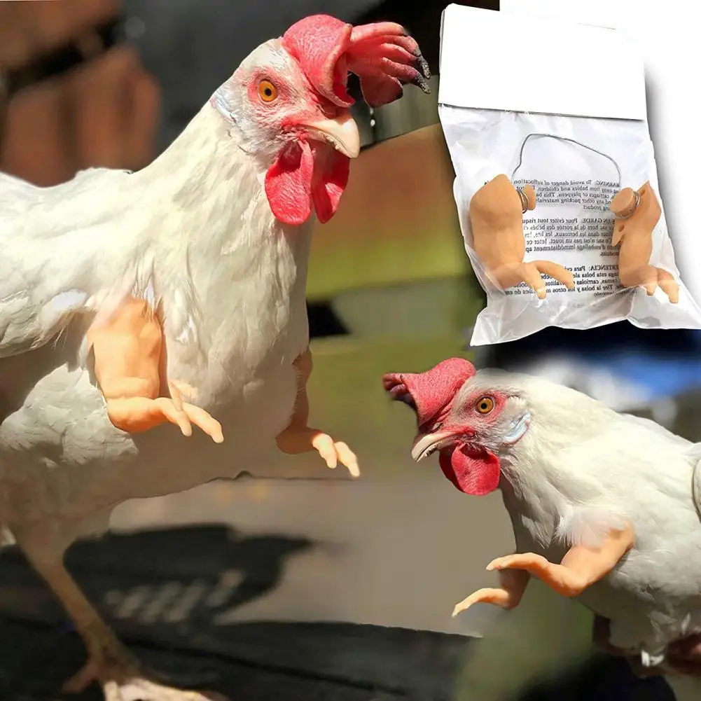 

1 Set Chicken Costume Fun Two Hands Design ABS Halloween Special Pet Spoof Prop for Entertainment