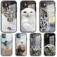 owl pouncing on a mouse soft glass silicone case for iphone 13 12 11 pro x xs max xr 8 7 6 plus se 2020 s mini balck cover