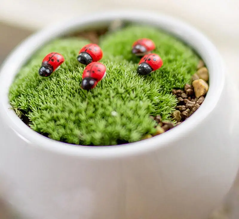 Садовые украшения 10 шт. горячие Мультяшные Мини Божья коровка мох микро