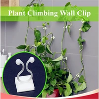 11020pcs plant climbing wall clip invisible wall vines fixture wall sticky hook holder plant cages supports