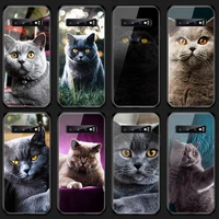 british shorthair cat phone case tempered glass for samsung s20 plus s7 s8 s9 s10e plus note 8 9 10 plus a7 2018