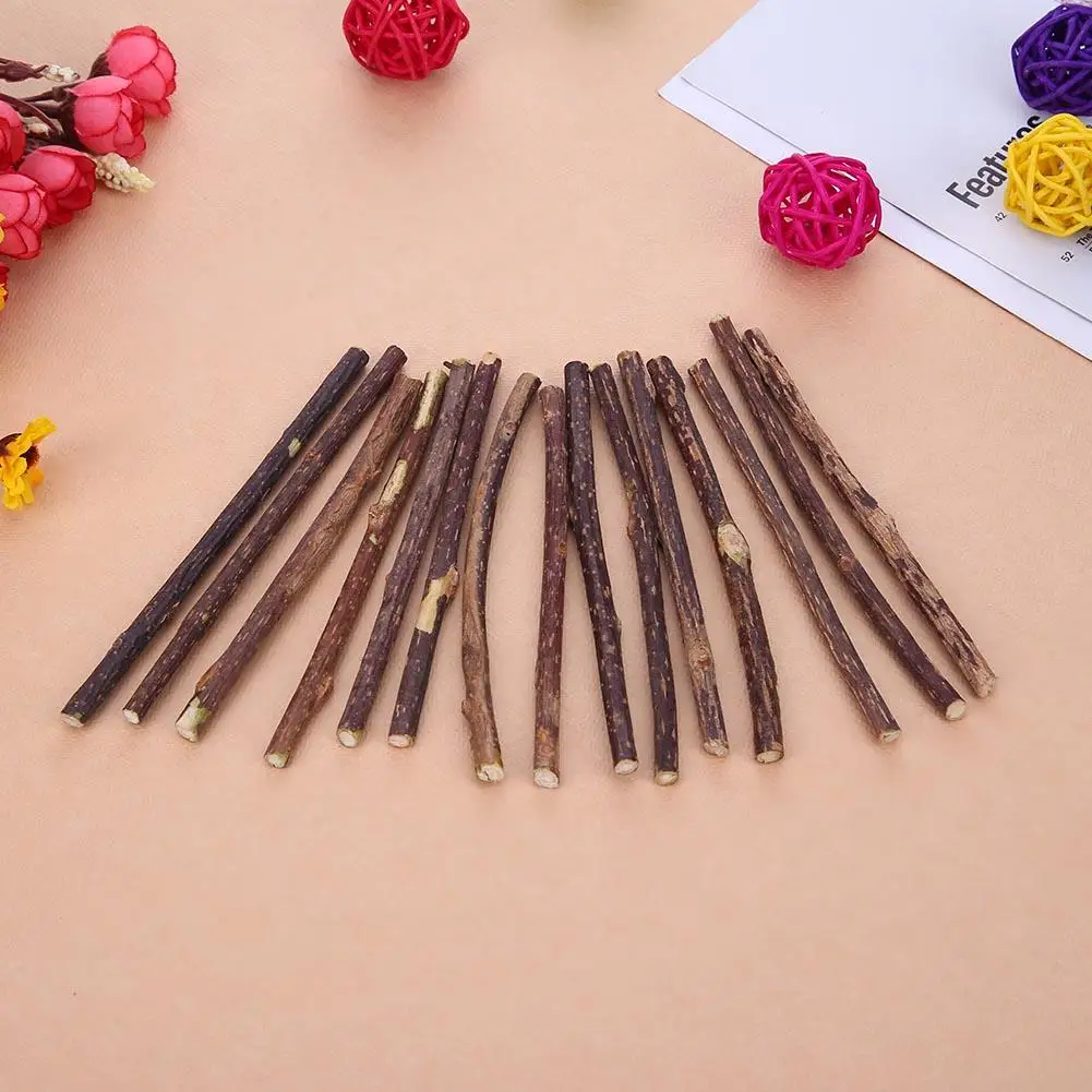 

30pcs Natural Fruit Matatabi Cat Snacks Sticks Catnip Pet Cat Molar Toothpaste Rod Kitten Cleaning Teeth Silvervine Cat Snacks