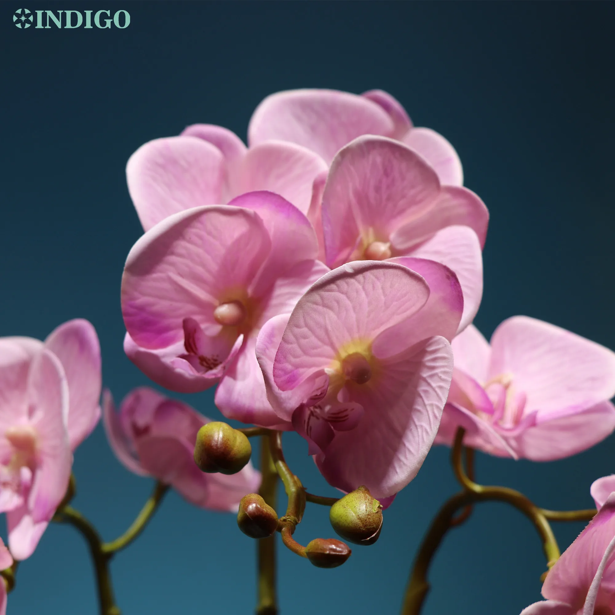 Индиго розовый фаленопсис Бабочки Орхидеи 3D печать лепестки Настоящее