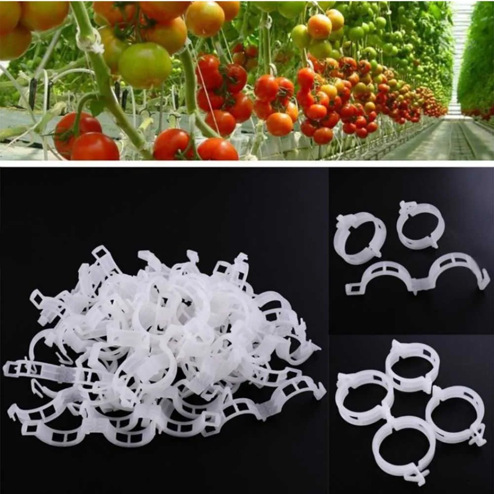 

100pcs Plastic Plant Supports Clips For Tomato Hanging Trellis Connects Plants Vines Trellis Jardin Tomatoes Plants Clips