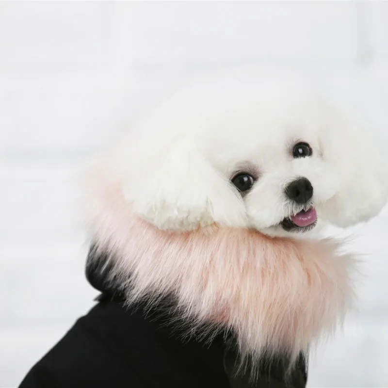 Одежда для кошек пальто домашних животных куртка толстовки французский бульдог