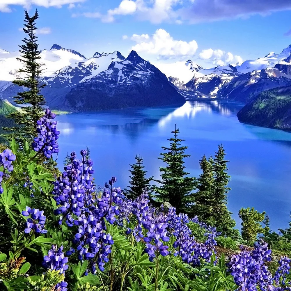 Алмазная 5D живопись Div с изображением гор озера реки лаванды облаков наборы для