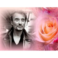 johnny hallyday diy cross stitch 11ct embroidery kits needlework craft set cotton thread printed canvas home dropshipping