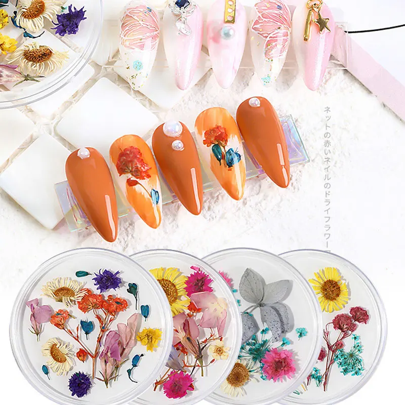 

1 Box Nail Dried Flower Decoration Jewelry Natural Flower Leaf Sticker 3D Nail Art Design Small Daisy Flower Nail Decoration