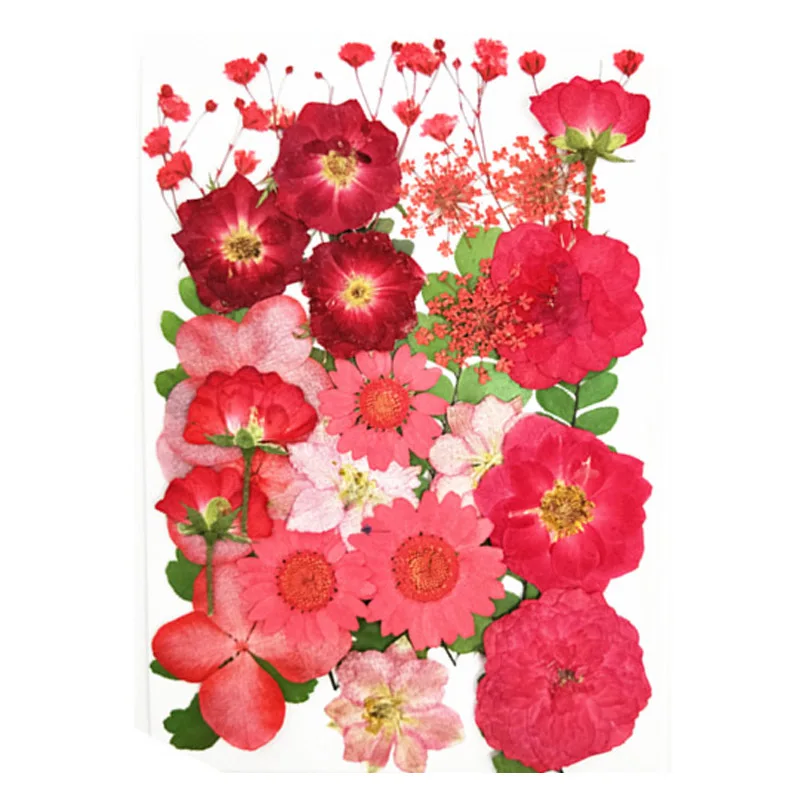 Настоящие сухие цветы натуральные растения для изготовления подвесок из