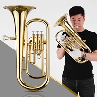 muslady brass b flat baritone bb wind instrument gold lacquer surface with carry case mouthpiece gloves cleaning cloth