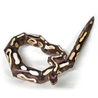 Мяч питона Бумага модель реалистичный животный мини 3D Бумага ремесла Сделай Сам Пижама для детей и взрослых, Оригами для ручной работы Искусство ремесло игрушки WE-048