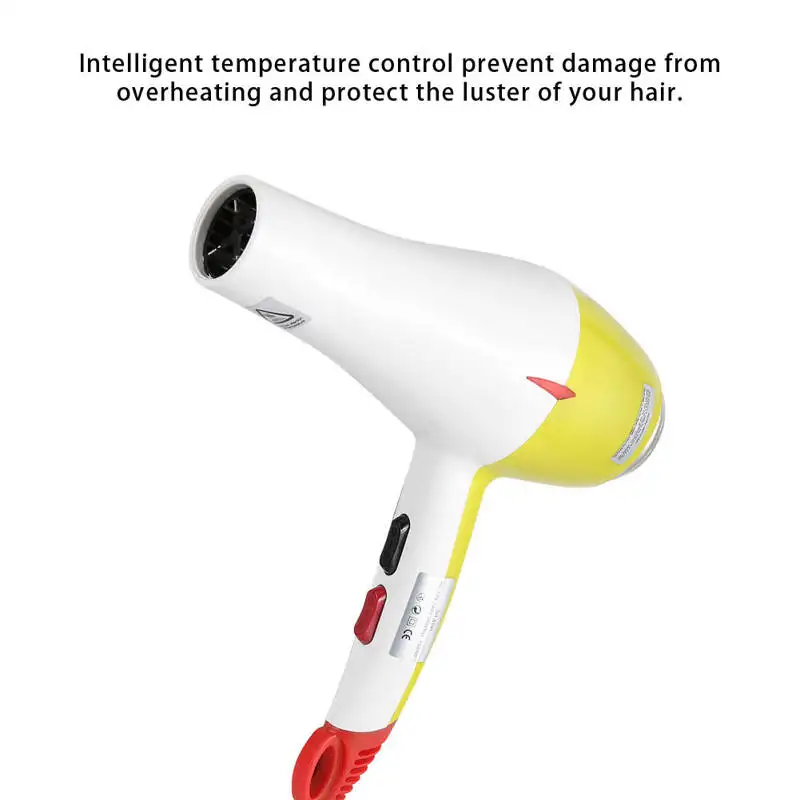 

Strong Wind Hair Dryer Hair Salon Tool for Home Wash Dorm Room Barbershop